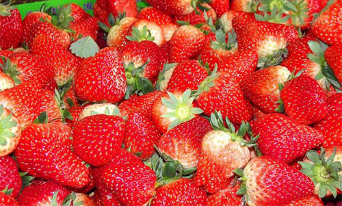 ��ʲôˮ��������� �����ʵ�ˮ���Ƽ�